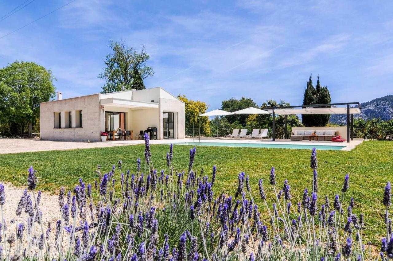 Hort Petit De Ternelles Underfloor Heating Vila Pollença Exterior foto